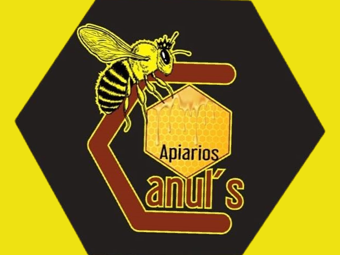 Apiarios Canul´s