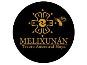Melixunán Miel Melipona