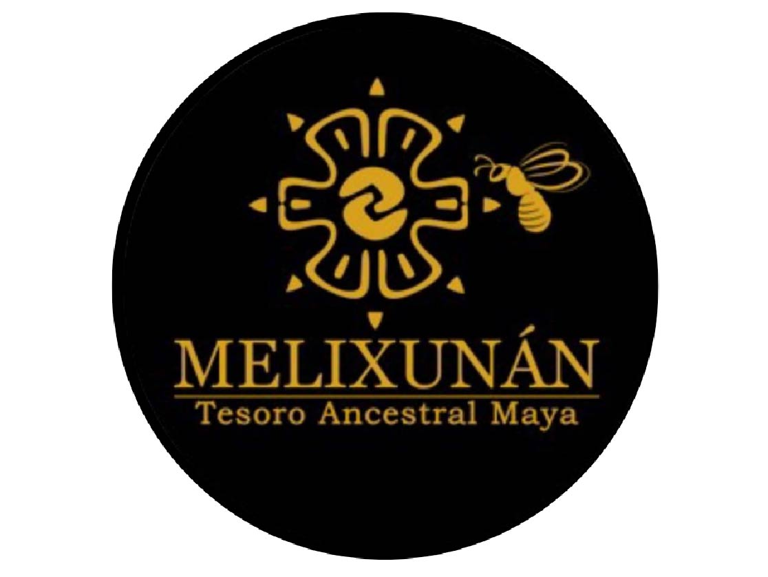 Melixunán Miel Melipona