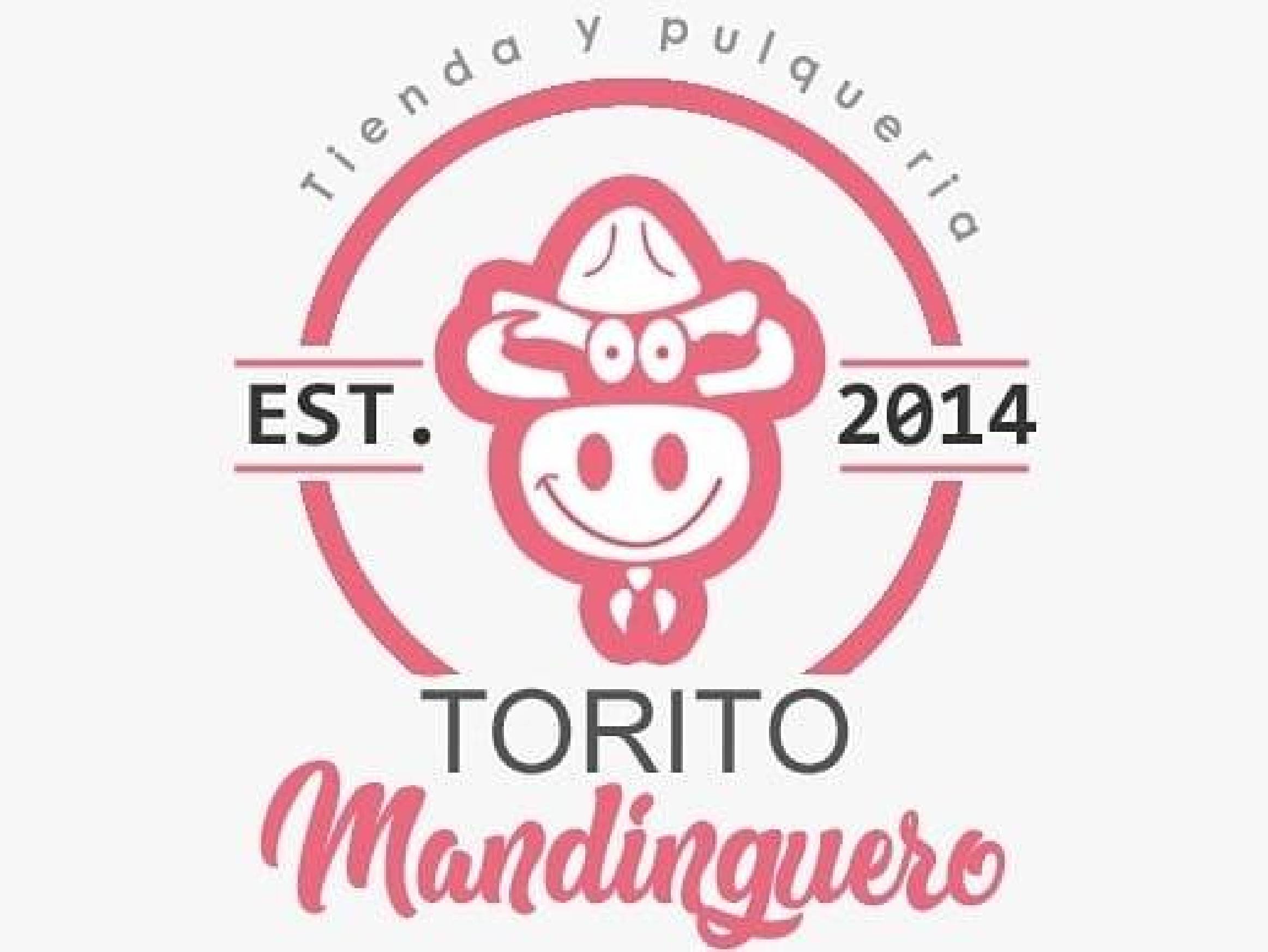Torito Mandinguero