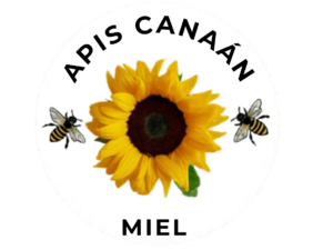 Apis Canaán