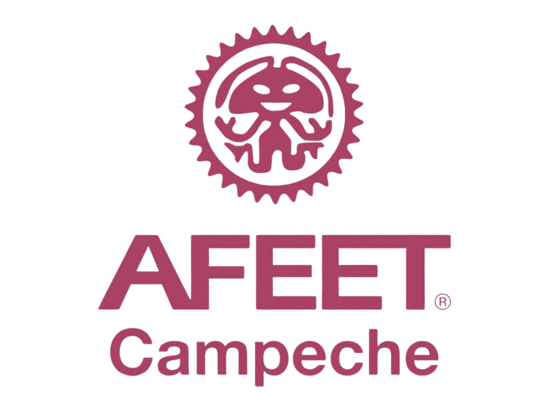 Asociación Femenil de Ejecutivas de Empresas Turísticas. AFEET, Campeche.